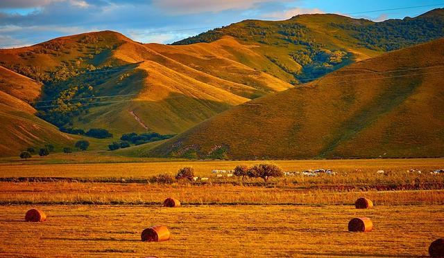 9527视频 当人们提到“9527视频”时