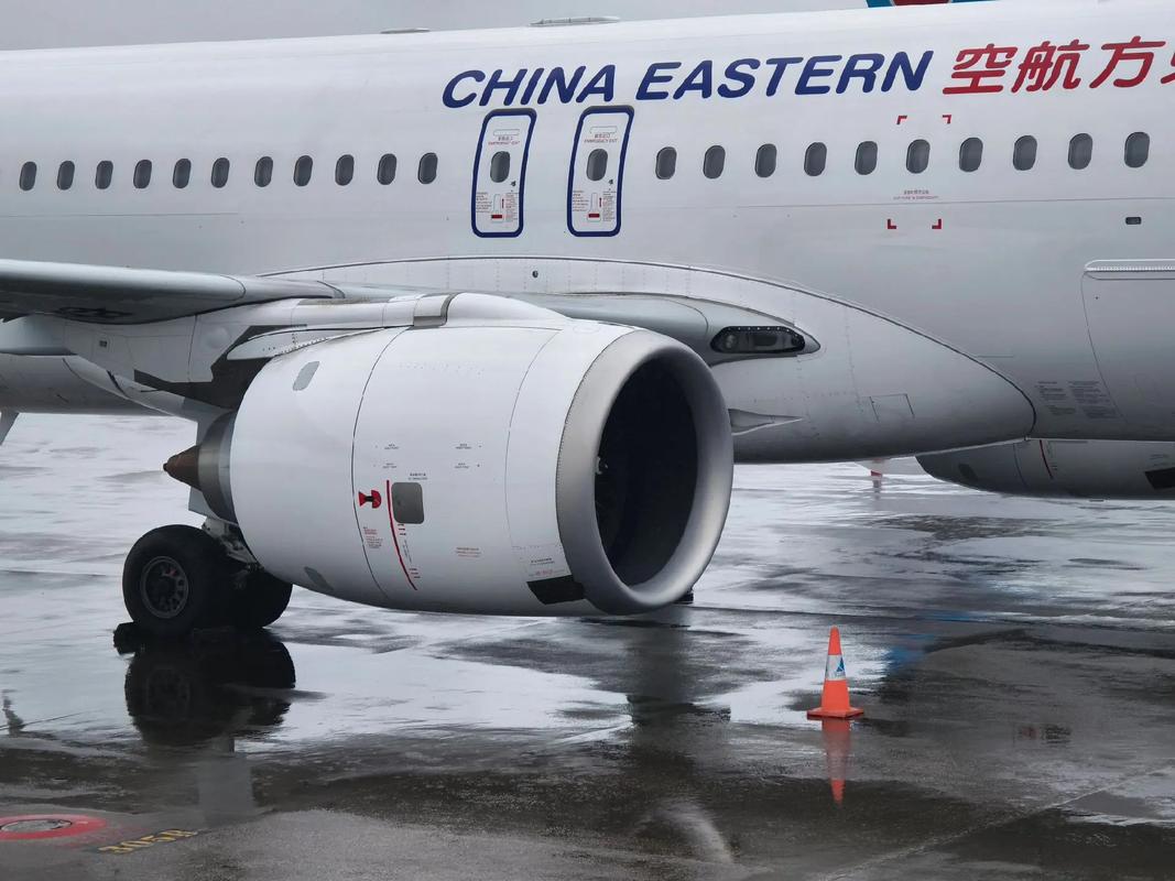 免费精品久久久久久中文字幕 只要用心找、我有个习惯海报