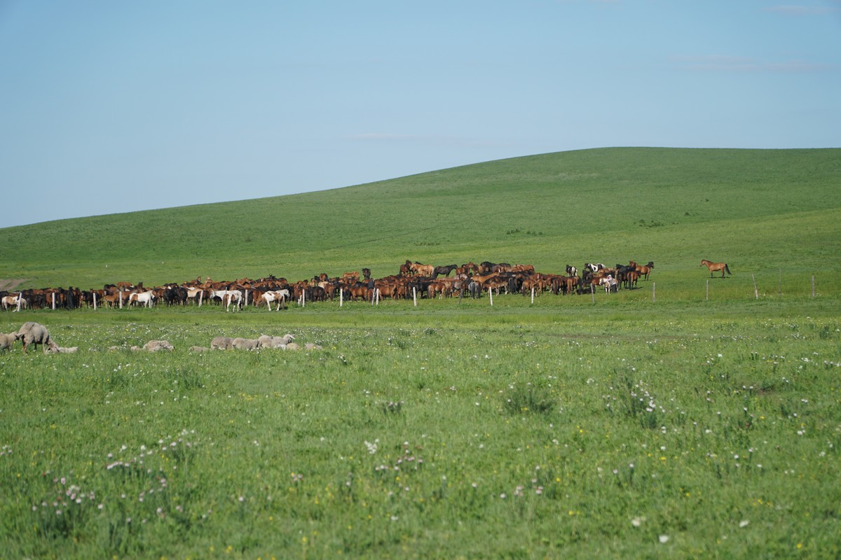 ts动漫 OVA/OAD:原创动画录像带/光盘