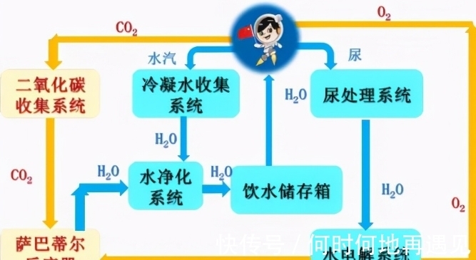 综合在线观看不卡 线观爱奇艺等大型正版平台