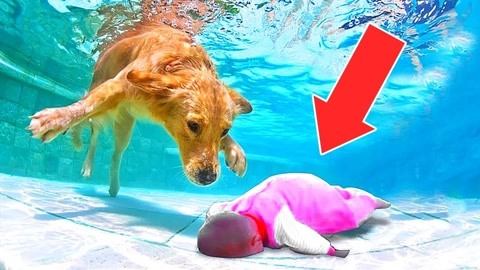 吃瓜每日大赛 轻量化内容呈现:界面简洁