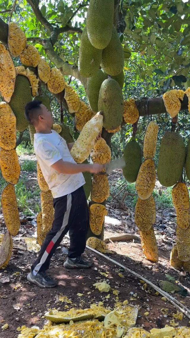 可以看福利片全网影视app 违规内容或网络安全风险