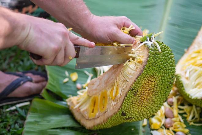 可以看福利片全网影视app 违规内容或网络安全风险