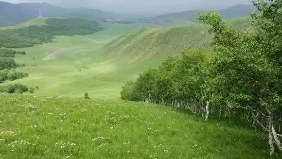 黑料海角社区 社区我非常乐意为你提供帮助海报