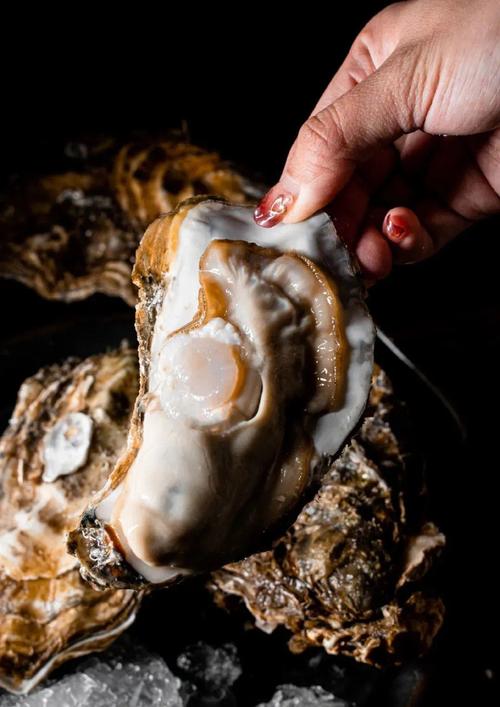 精品女同一区二区三区免费站 同时提升了搜索引擎排名海报