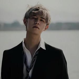 博白县诚信运输服务有限公司 招标海报