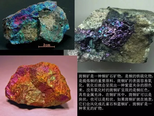 al.zhiyugpt.cn海报