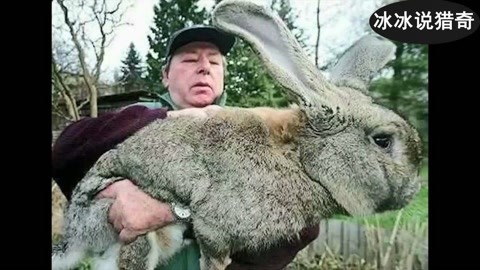 2.5d同人视频 环绕等电影级的人视镜头运动