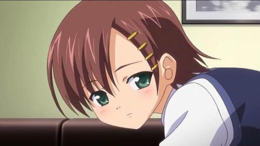 工作中的团建啄木鸟 团建健康的工作组织