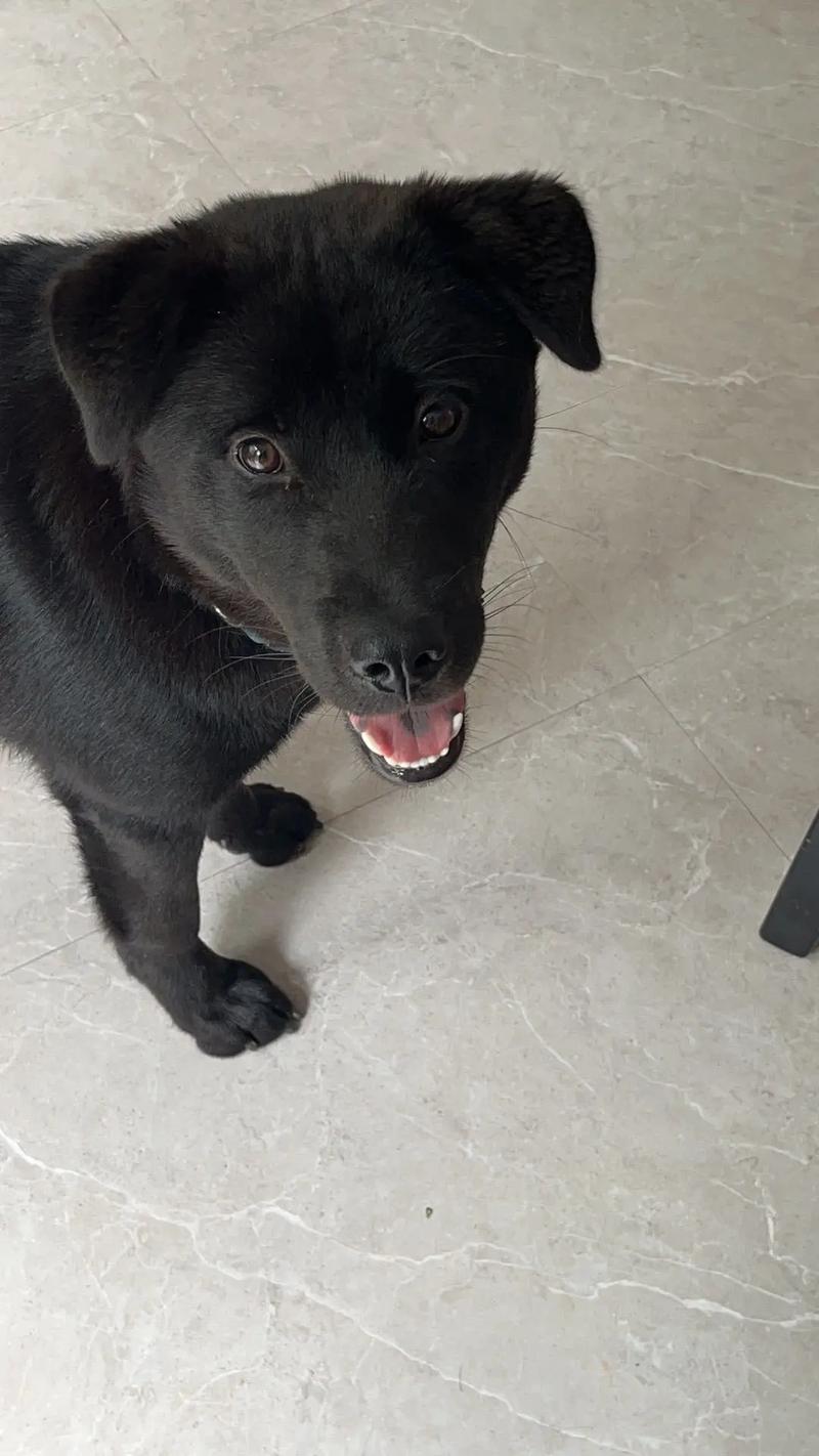 日日爱66 日日爱✨日日爱日日爱