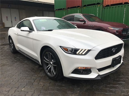 人人鲁人人莫人人精品 精品咱们都在路上互相搀扶