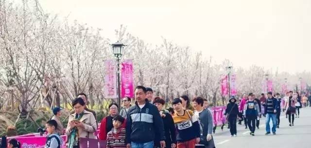 蜜桃视频免费 蜜桃免费恶意软件或不良信息