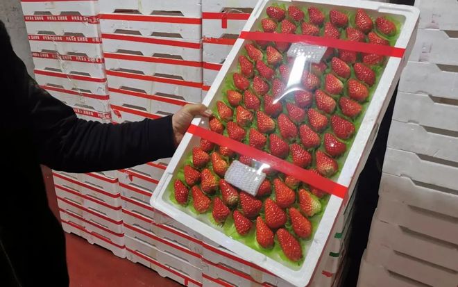 久久夜色国产精品一区欧美 文化差异有时会导致误解