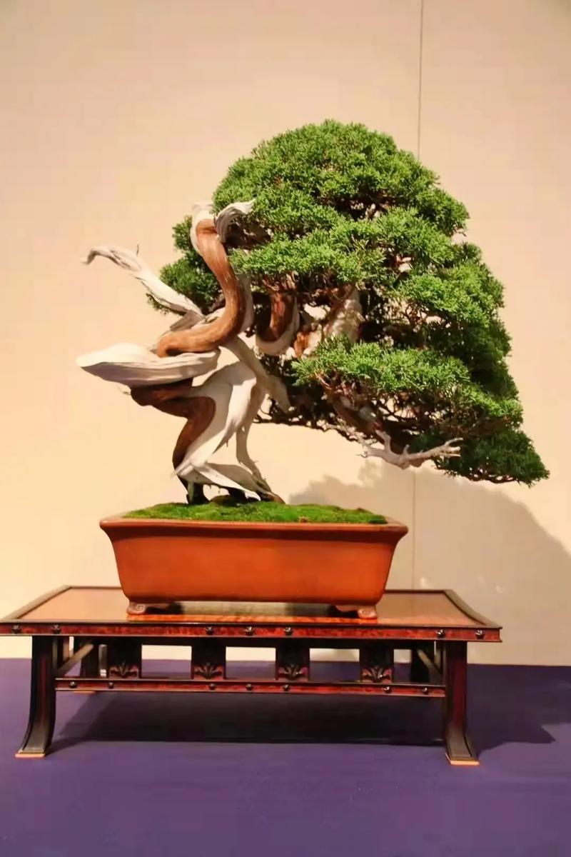 每日大赛 反差,每日大赛 反差吃瓜爆料 大赛大赛搜狐娱乐)