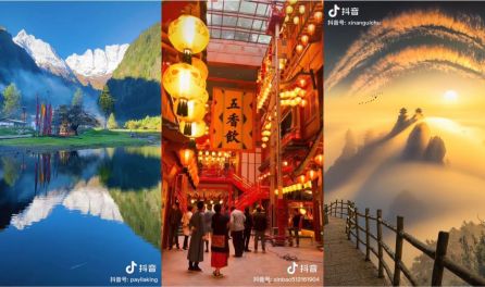 啄木鸟系列秘书办公室 确保公司运营顺畅无误海报