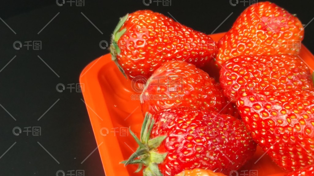 国产精品毛片久久久久久久 精品久久久久久久读书