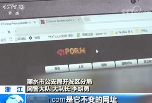 角斗士啄木鸟 红头啄木鸟：非常凶猛好斗海报