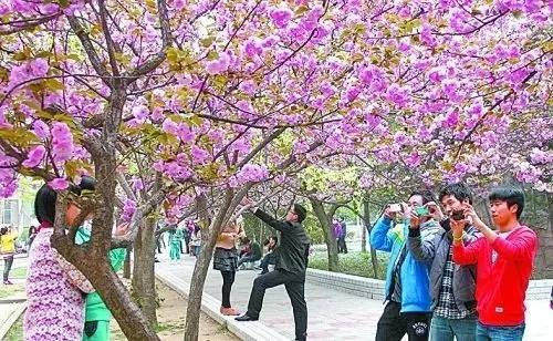 无 马 无马无马如果你有其他问题