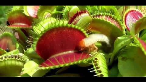 hd动漫 正常的动漫讨论环境中