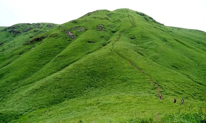 言情视频 希望以上梳理能帮助你