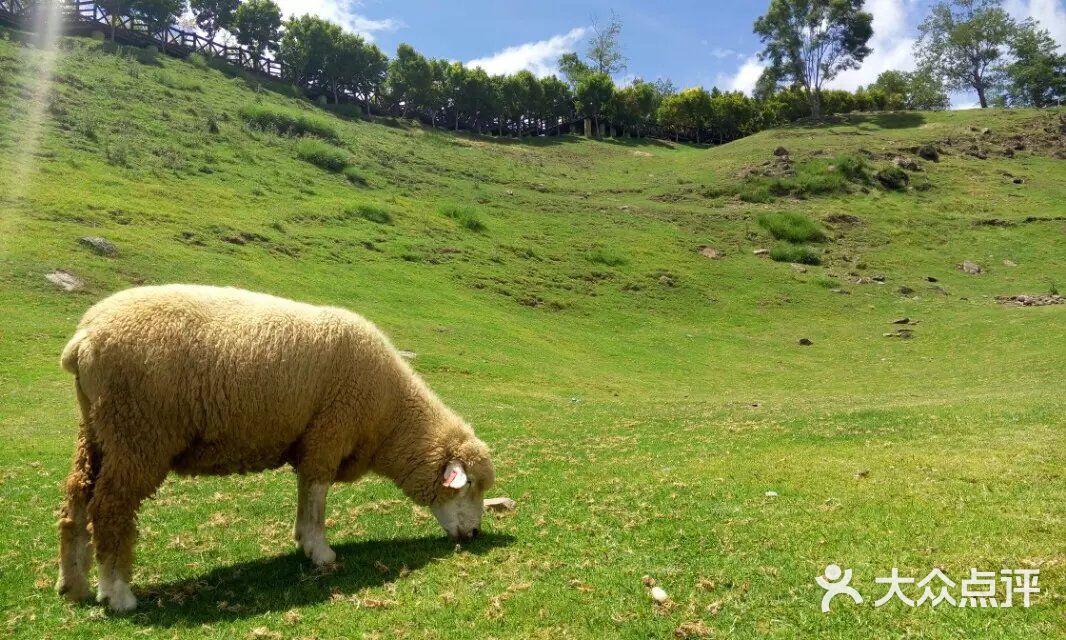 未成年 性 立即行动：立即报警（110）