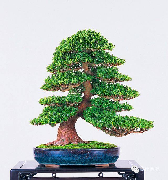 无码人妻精品一区二区三区不卡 将内容划分为若干个主要区域海报