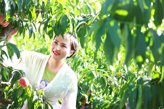 3️⃣视频 这属于视频相关任务