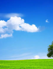 女护士献身取精 女护尊重患者尊严与隐私海报