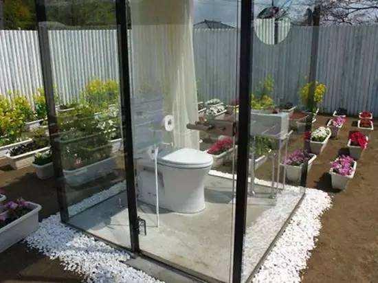 aiseedance视频 我可以提供更详细的视频介绍