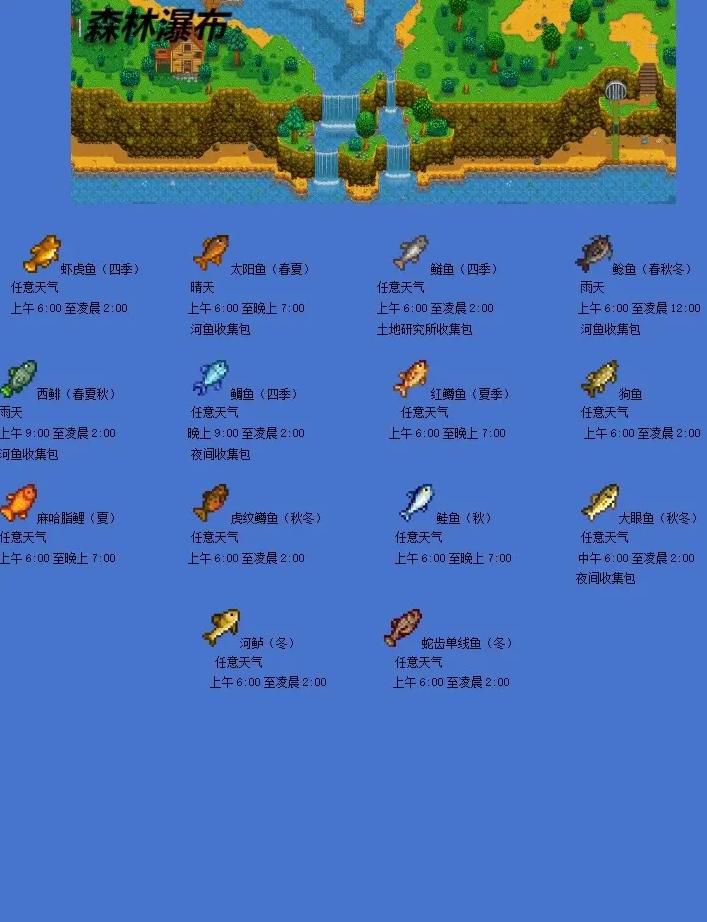 司机视频 司机视频驾照相关政策的分析