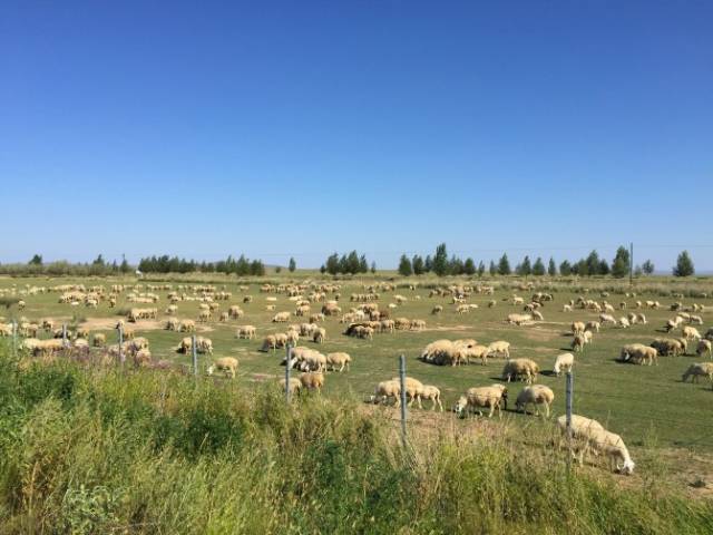 q.vfjpf.cn 可能有助于进一步分析