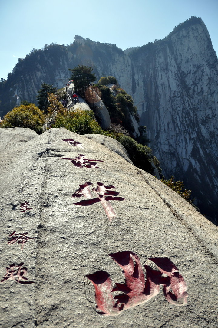 在线免费观看 费观字幕质量不稳定