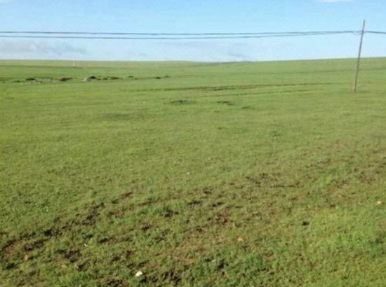 久久99精品国产麻豆不卡 不仅吸引了大量稳定用户