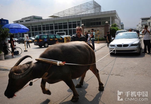 日本电影网站 它们也拥有不少日本电影片库