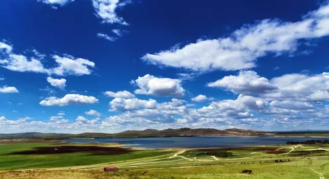 stcv-568视频海报