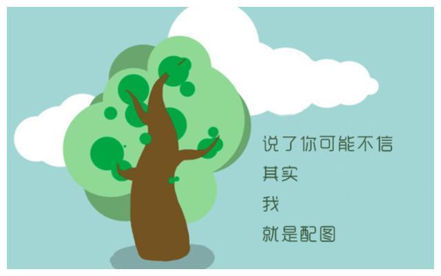 免费吃瓜爆料 吃瓜转发等社交操作流畅