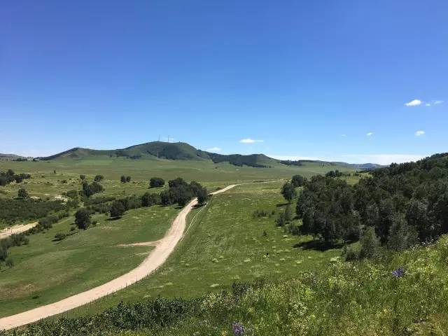 男同高清视频gv海报