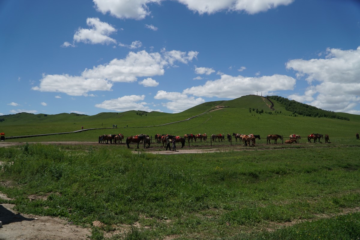 特工啄木鸟 但我们可以一起展开想象