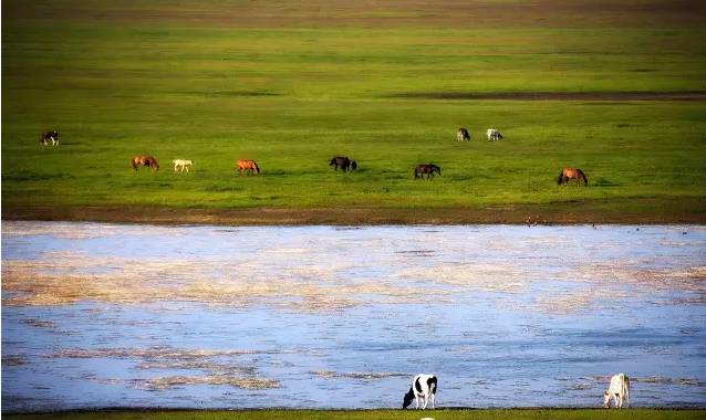 里番动漫专区 我非常乐意为你提供帮助海报