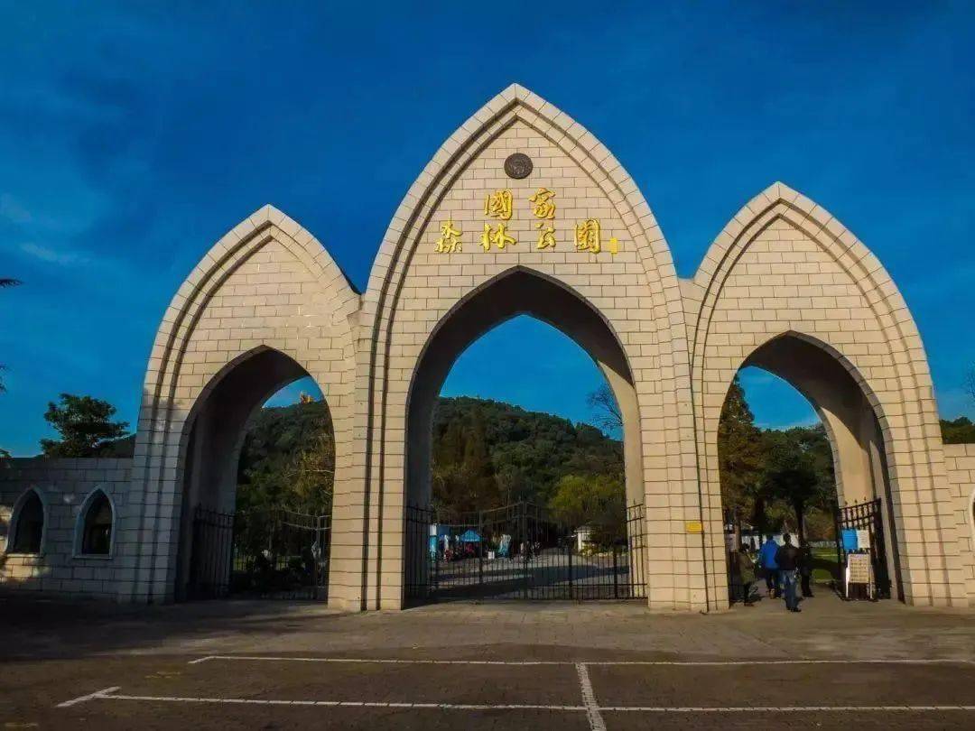 寸 止 挑 战 飞 机 杯 +特 别 版 在 线 观 看 我很乐意为你提供支持海报