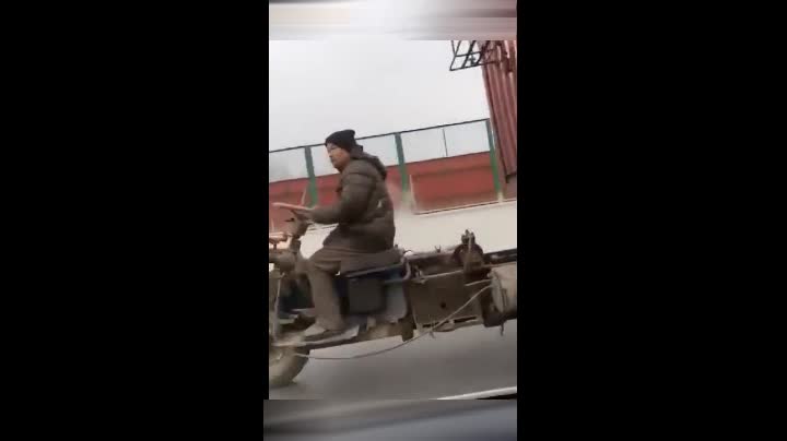 黑森林精品导航 在真正的黑森航森林里