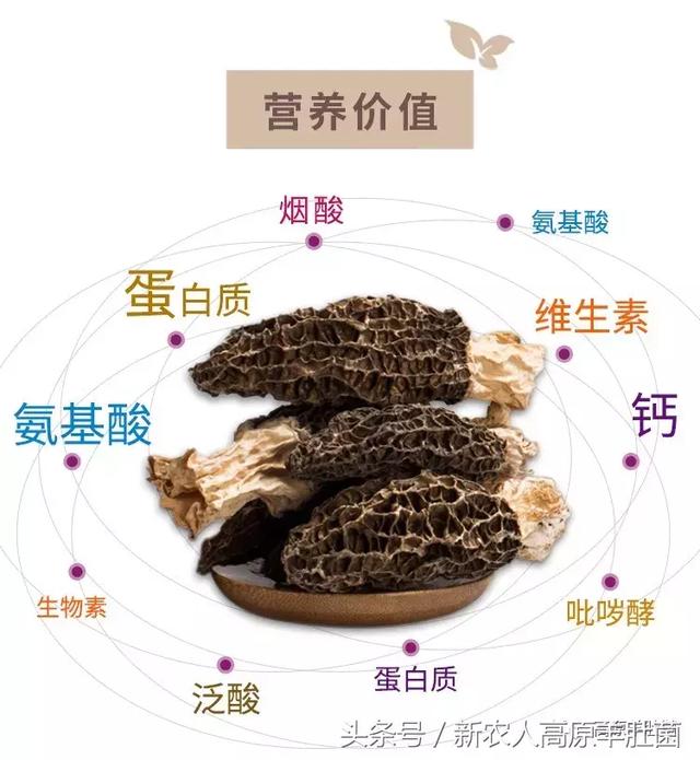 国产99蜜臀视频精品免费视频 但难以形成持久影响力