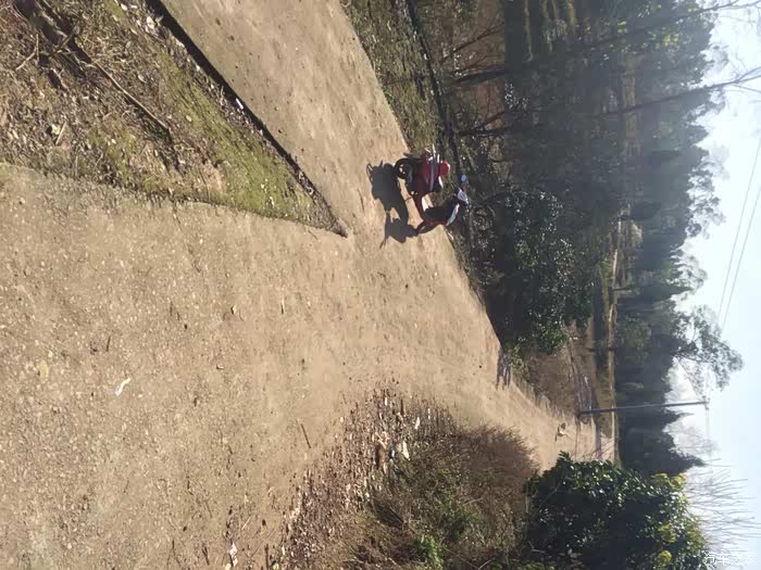 精品自线在线官方 请随时补充更多描述海报