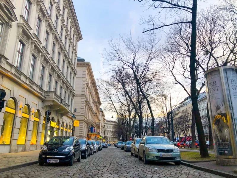 开心鬼传媒在线 鬼传综艺等多元品类