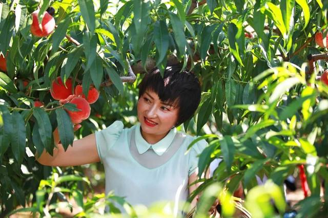 mtproto参数每日更新