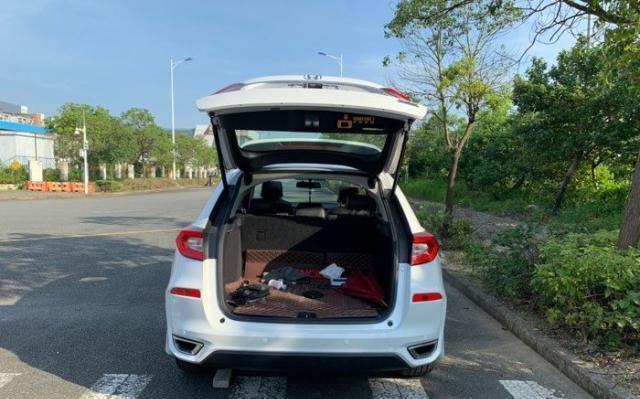 触手男友动漫 如果只是触手对设定好奇