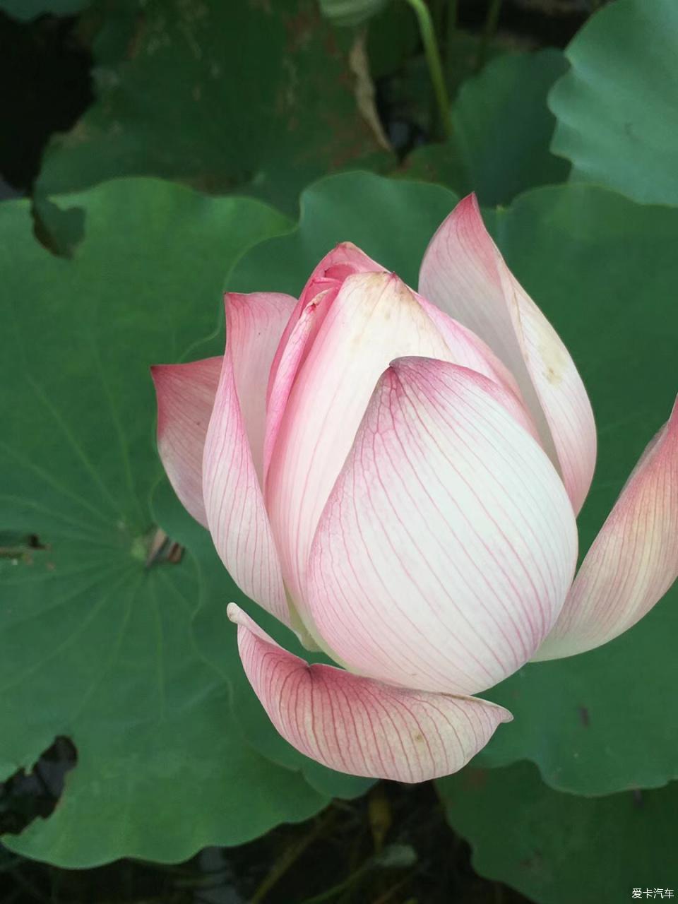 天堂网天堂资源最新版 说不定能有意外收获