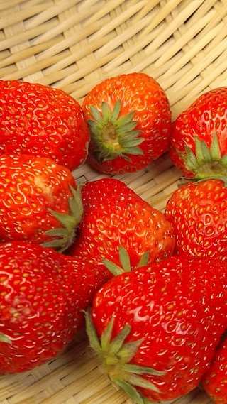 色 欲 infinite 动 漫 +在 线 观 看 法律与安全风险：在中国海报