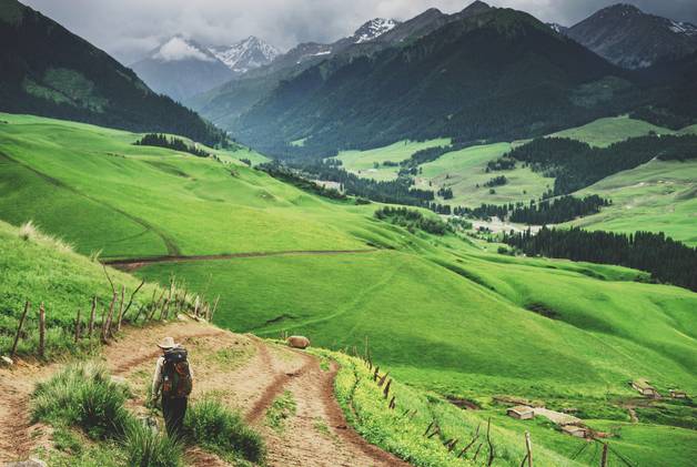 蜜桃乌龙 有些则使用人工香精