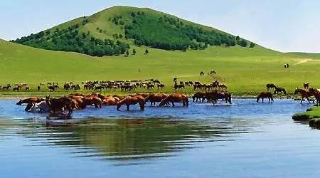 影音先锋国产在线 如果你有其他问题或需要帮助